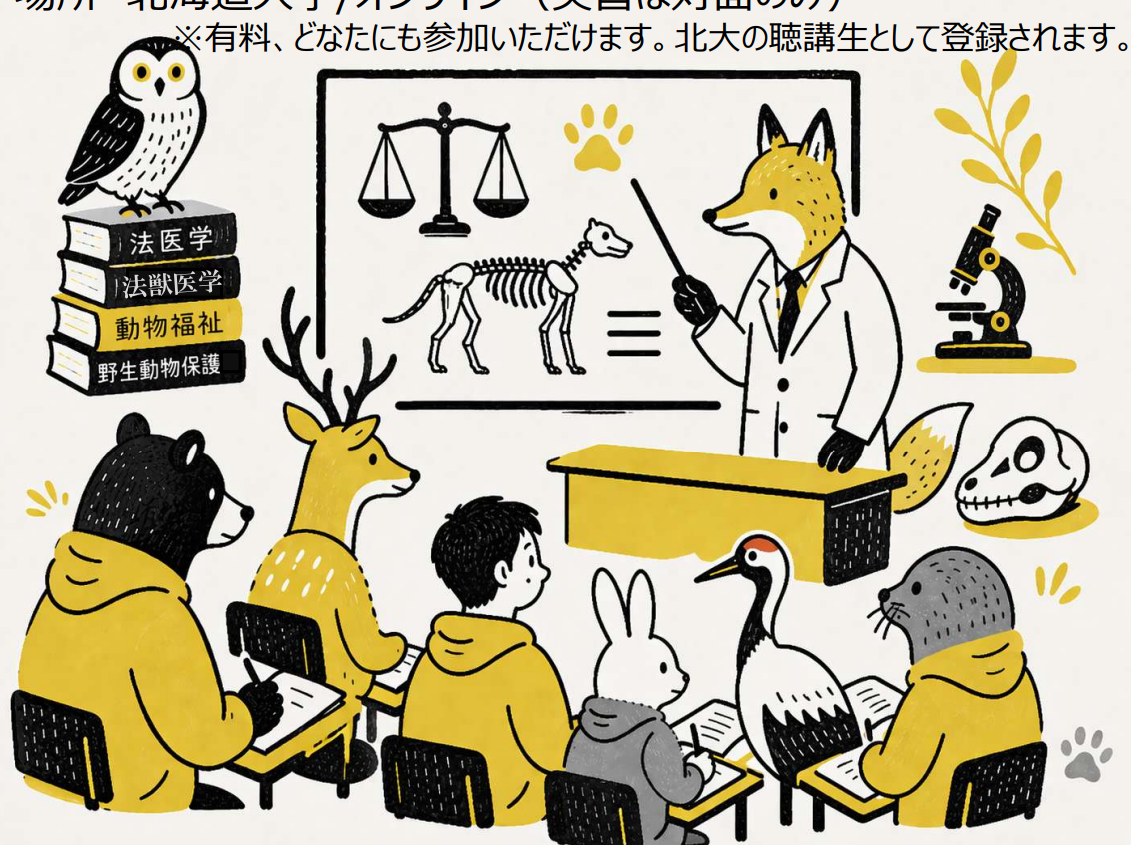 Hokkaido Summer Institute (HSI) 2026 ポスター画像
